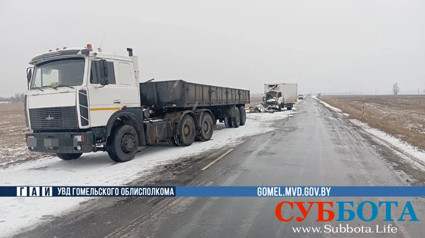 В Лельчицком районе обгон стал причиной ДТП, в котором погибла женщина